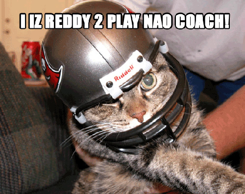 i-iz-reddy-to-play-nao-coach